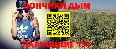 сатива Комсомольск-на-Амуре
